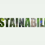Sustainable Print Solutions - How the Print Industry is Adapting to a Greener Future